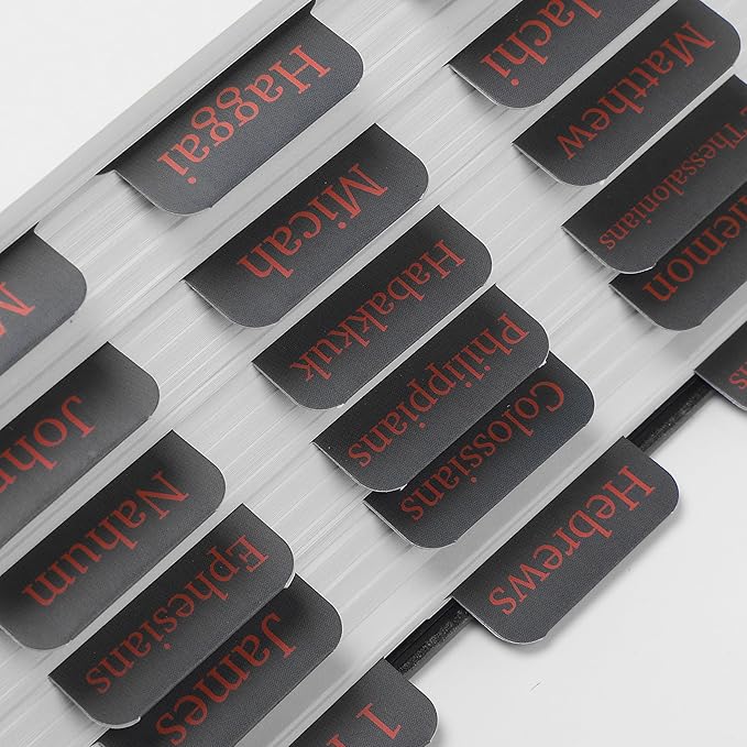 Mr. Pen- Bible Tabs, 75 Tabs, Cool Gray, Laminated Bible Tabs for Women and Men, Bible Tabs for Study Bible Index Tabs, Bible Book Tabs, Bible Labels Tabs, Mr Pen Bible Tabs for Women Study Bible