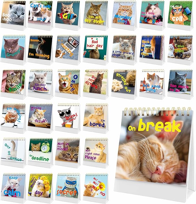 40 Pages Funny Desk Sign, 34 Different Fun and Flip-Over Messages plus 6 Erasable Blank Pages, Funny Desktop Flip Book for Office Gifts Desk Accessories (Cat Design)