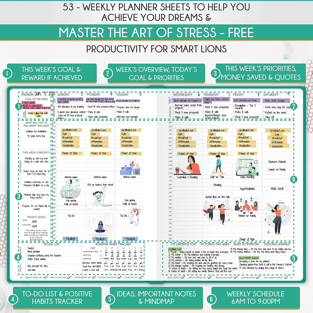 Hourly Planner - Undated Daily, Weekly & Monthly Planner with Budget Section | A 12 Month Journey to Increase Productivity & Happiness | Life Organizer & Gratitude Journal - Vertical Format