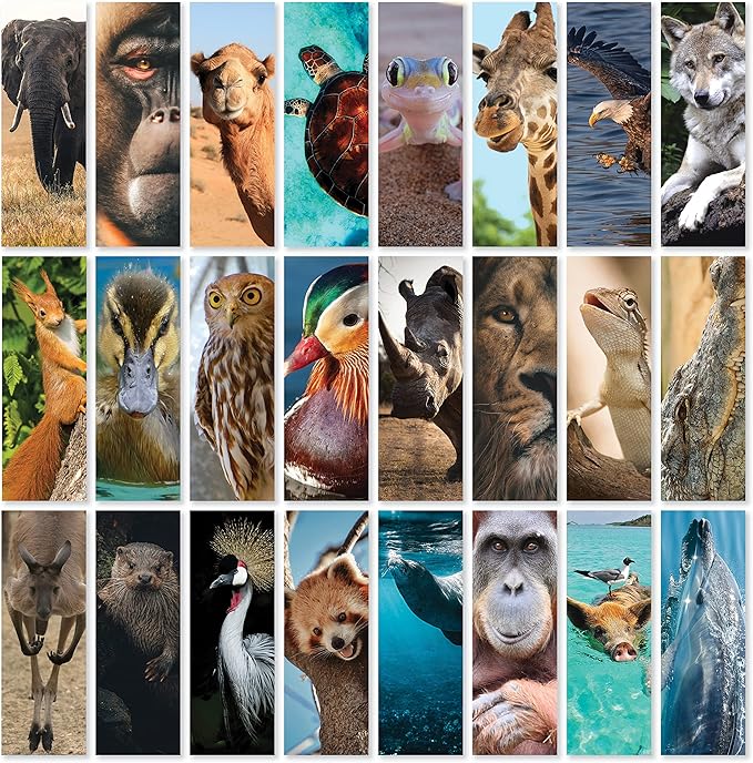 JBH Creations Around The World Animal Bookmarks - Pack of 48